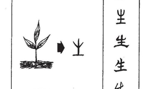 天雄的副作用和禁忌-天雄的功效与禁忌网 - 天雄的性味归经和功能主治,中药材天雄的功效